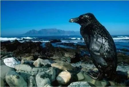 1681353014448947.jpg 圖片14.jpg