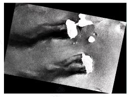 1693202624461582.jpg 455.jpg